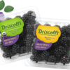 04_BerryDetail_Blackberry_Embed_CC2