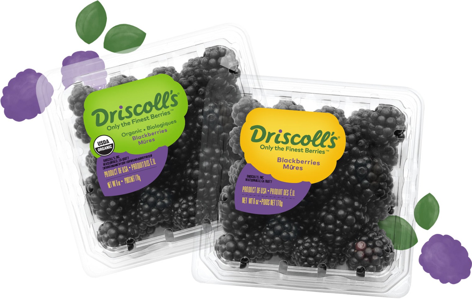 04_BerryDetail_Blackberry_Embed_CC2