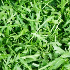 Organic Greens | 有機蔬菜 10 R15 2 scaled