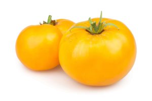 Yellow Holland Tomato | 荷蘭黃蕃茄 | KG 3 T23 2
