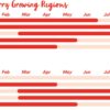 availability-chart-desktop-strawberry-item-v-1992002543