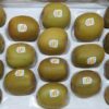 kiwi3