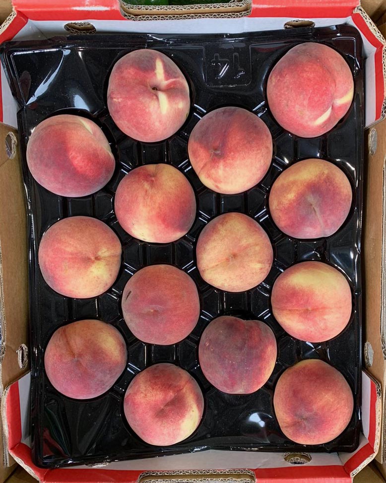peach-real