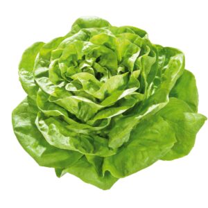 Organic Greens | 有機蔬菜 8 FOON111 scaled