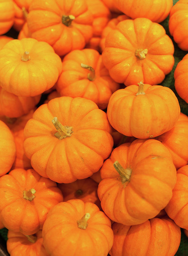 萬聖節南瓜香港 halloween pumpkin hong kong