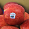 envyapple2