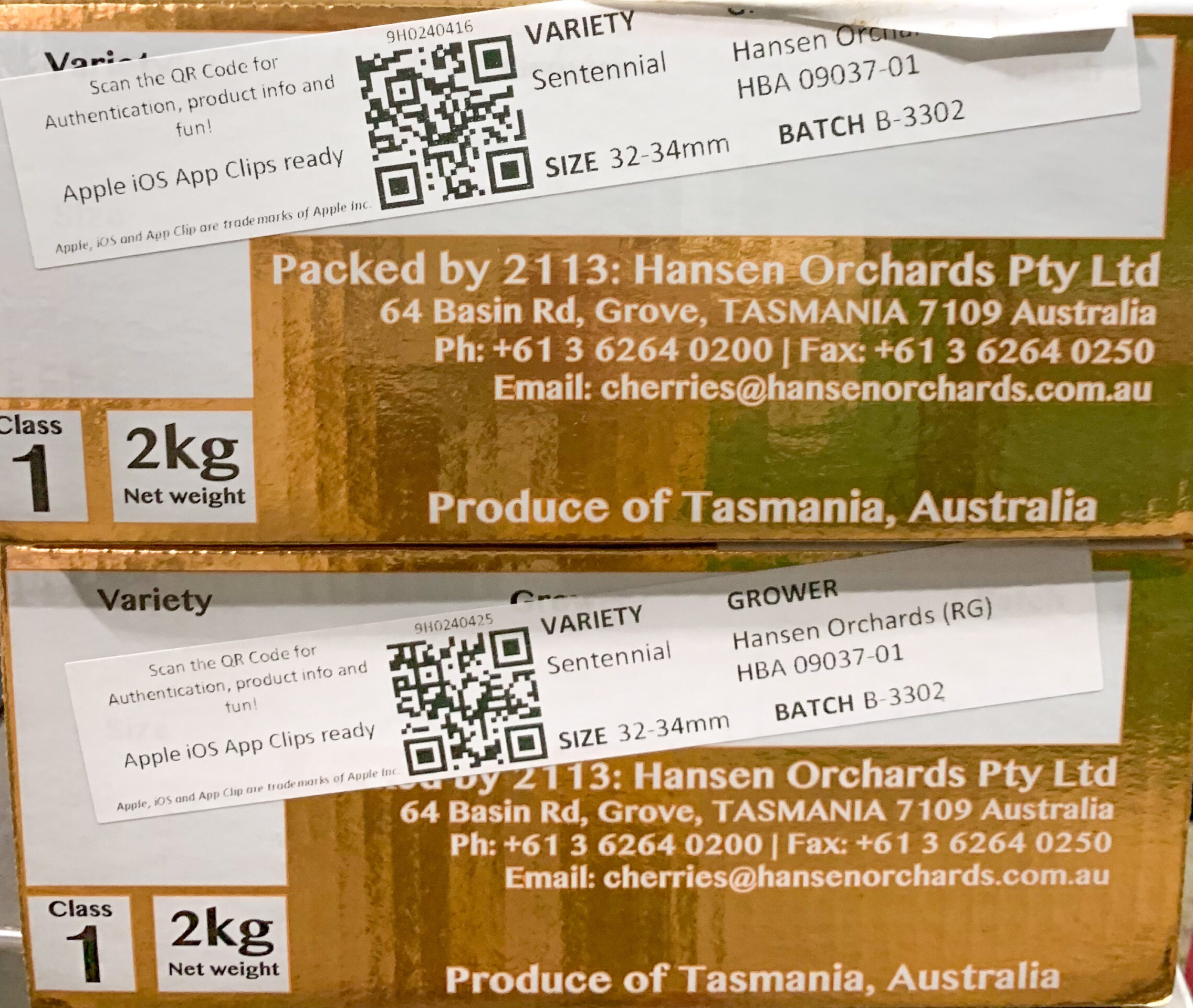 Tasmanian Cherry | 43° South塔斯曼尼亞車厘子 | Gift Box (2kg | 28-30mm) 2 cherries2 scaled e1611916936566