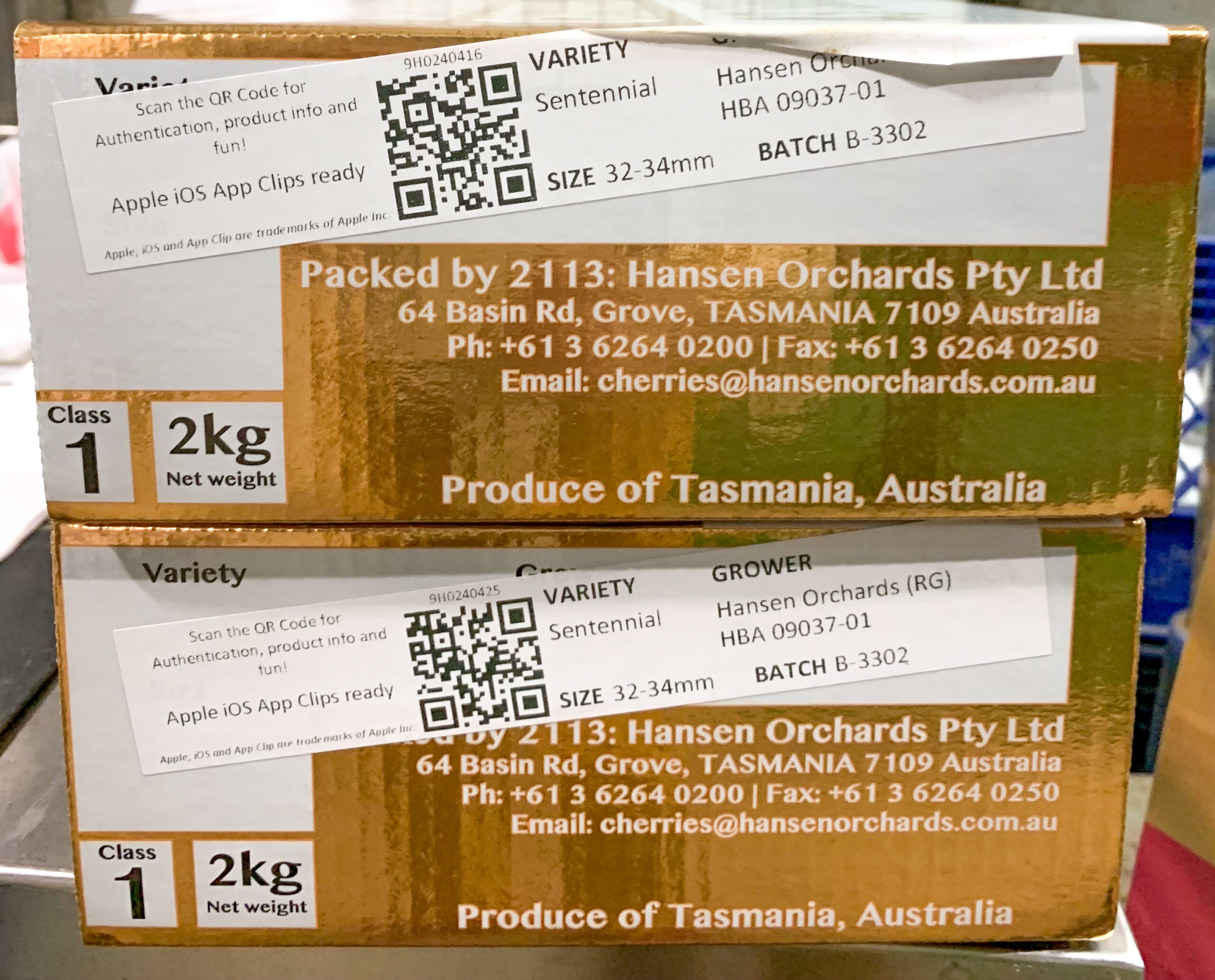Tasmanian Cherry | 43° South塔斯曼尼亞車厘子 | Gift Box 2 cherries2 scaled