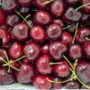 cherry