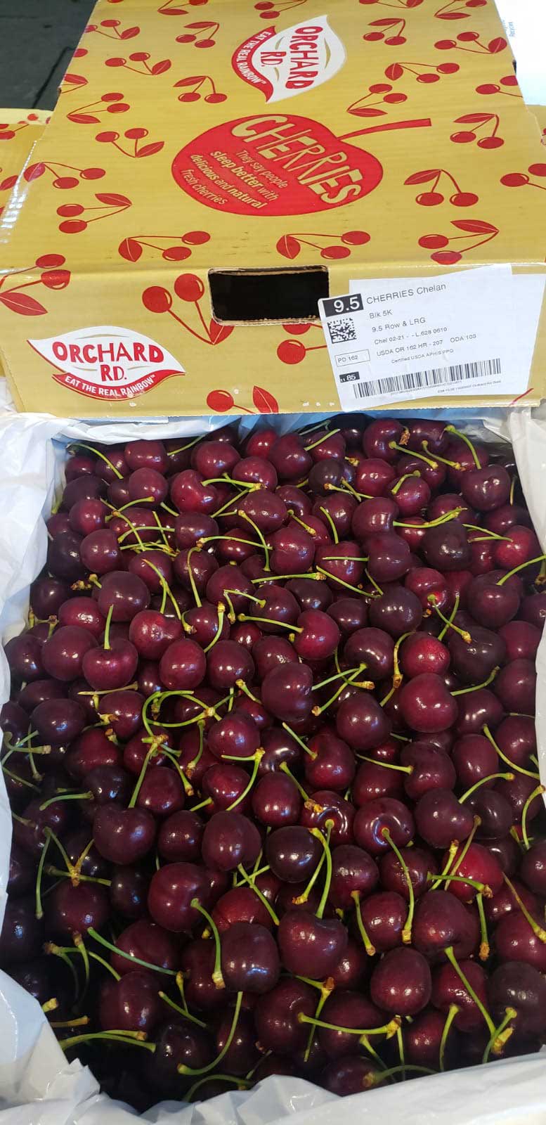 cherry-usa-9-5