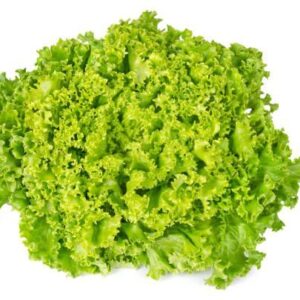 Organic Greens | 有機蔬菜 15 lollo